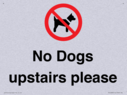 no-dogs-upstairs-please-~